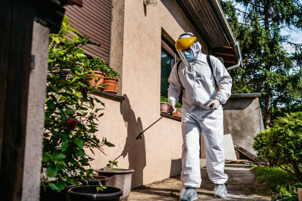 Best Pest Removal Services  in Ocklawaha, FL