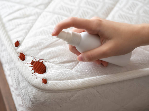 Best Affordable Pest Control Services  in Ocklawaha, FL